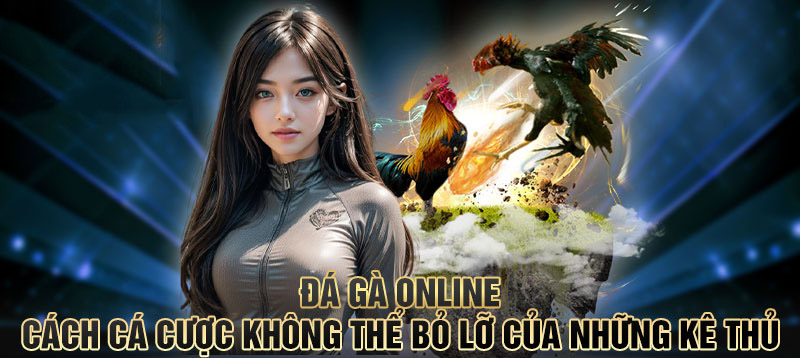 Đá Gà Trực Tiếp - Hình Thức Giải Trí Được Ưa Chuộng 2025 Hướng dẫn tham gia sảnh đá gà trực tuyến BET88