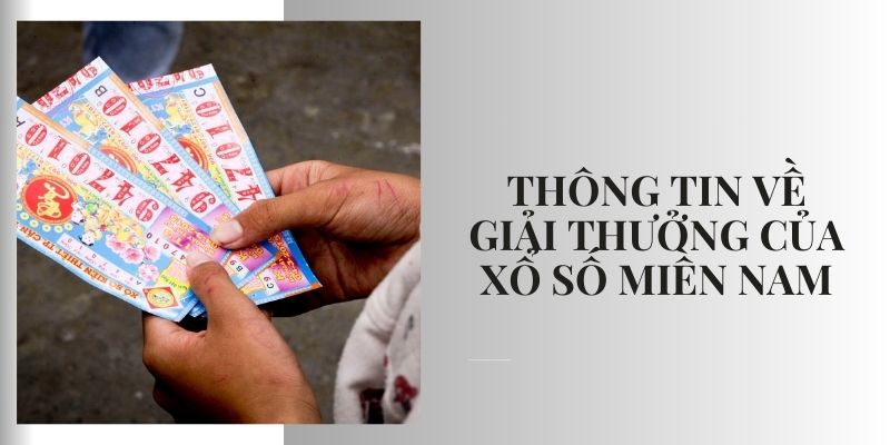 Xổ số miền Nam: Chia sẻ bí kíp chơi hiệu quả từ cao thủ 2025 Cơ cấu giải thưởng xổ số miền Nam vô cùng hấp dẫn