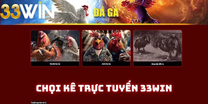 Đá gà 33Win khiến bạn không thể rời mắt Đá gà 33Win khiến bạn không thể rời mắt
