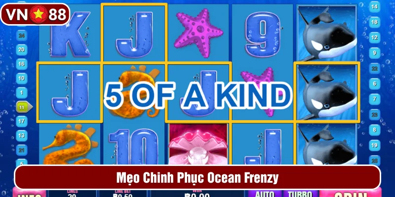 Kinh nghiệm chinh phục game Ocean Frenzy Kinh nghiệm chinh phục game Ocean Frenzy