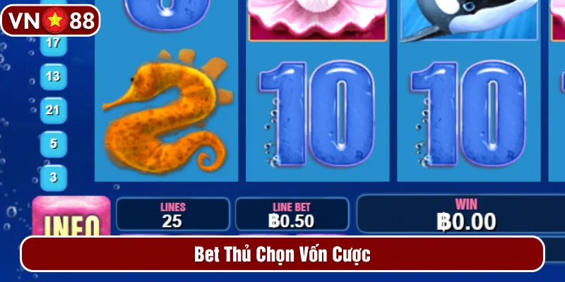 Người chơi chọn vốn khi đặt cược Người chơi chọn vốn khi đặt cược